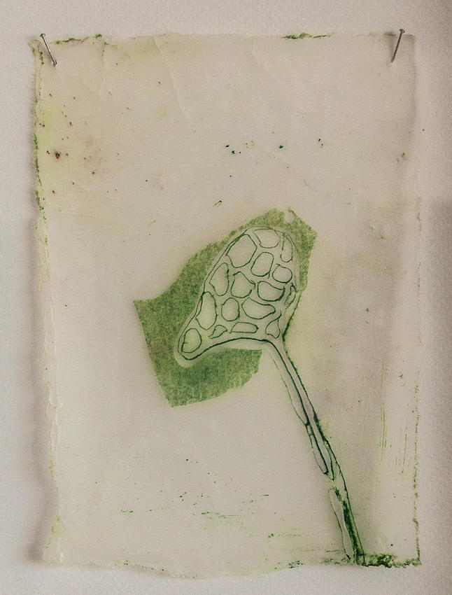 gemaltes_121_grüne_pflanze_IMG_3054_o_b1800