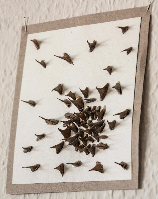 gemaltes_127_Dornenreich_IMG_3059_o_b1800